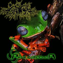 Anal Orgasm : Phyllomeduza Anal Orgasm : Phyllomeduza